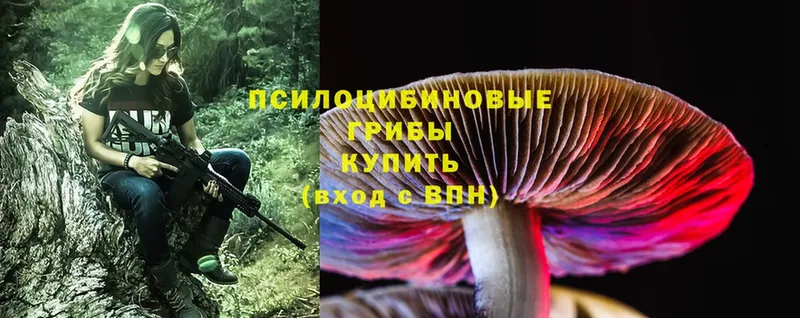 Галлюциногенные грибы MAGIC MUSHROOMS  Борзя 